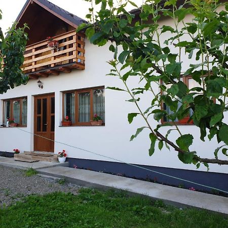 Pensiunea Ilea Ieud Extérieur photo
