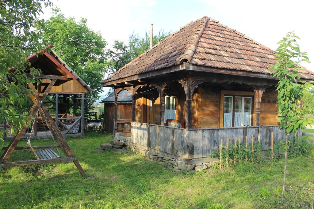 Pensiunea Ilea Ieud Extérieur photo