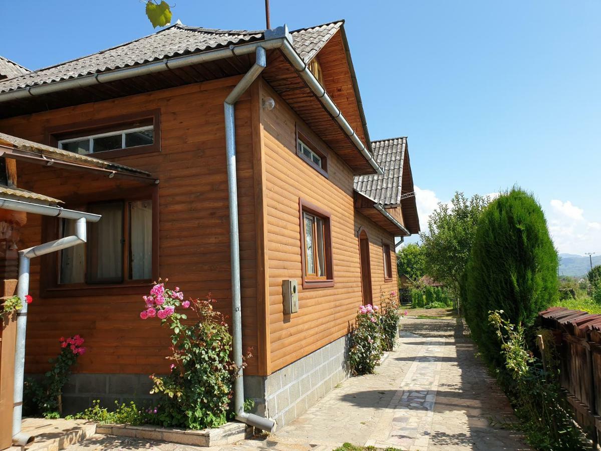 Pensiunea Ilea Ieud Extérieur photo
