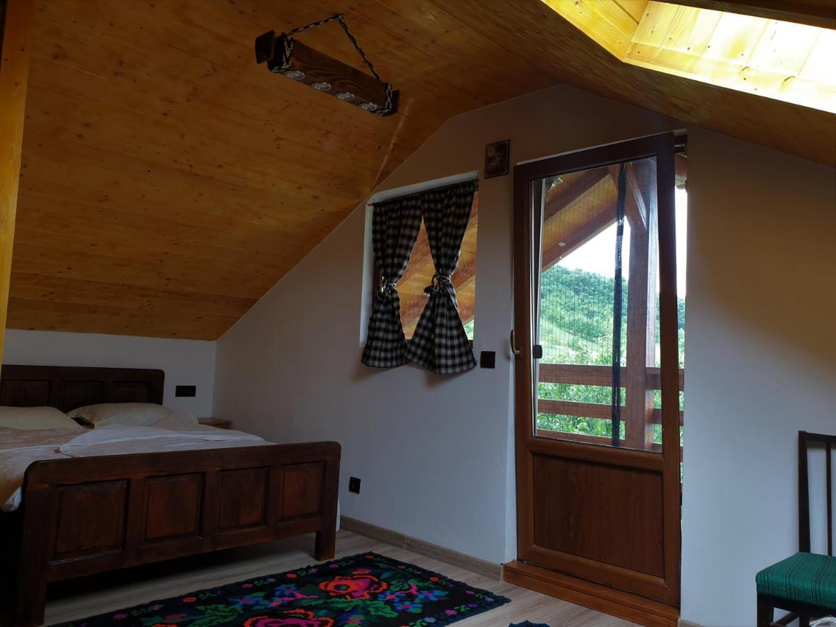 Pensiunea Ilea Ieud Extérieur photo