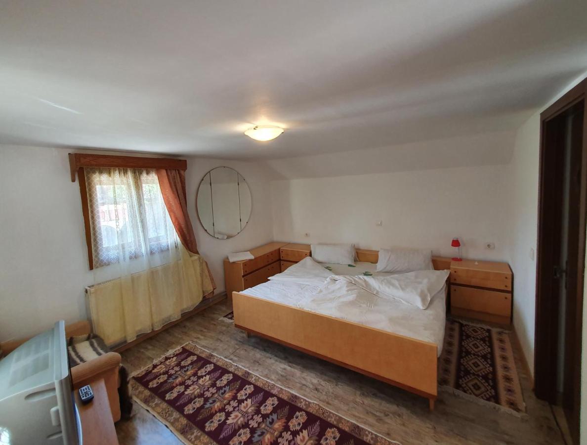 Pensiunea Ilea Ieud Extérieur photo