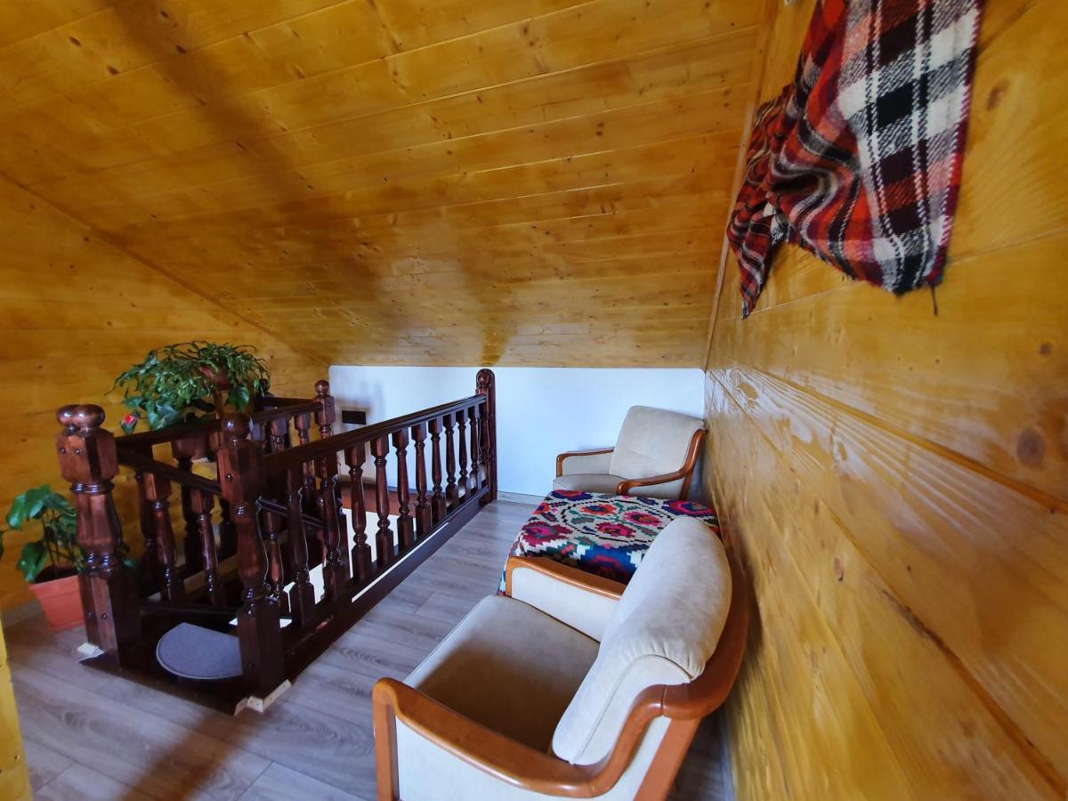 Pensiunea Ilea Ieud Extérieur photo