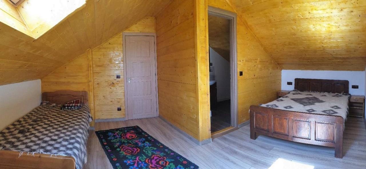Pensiunea Ilea Ieud Extérieur photo